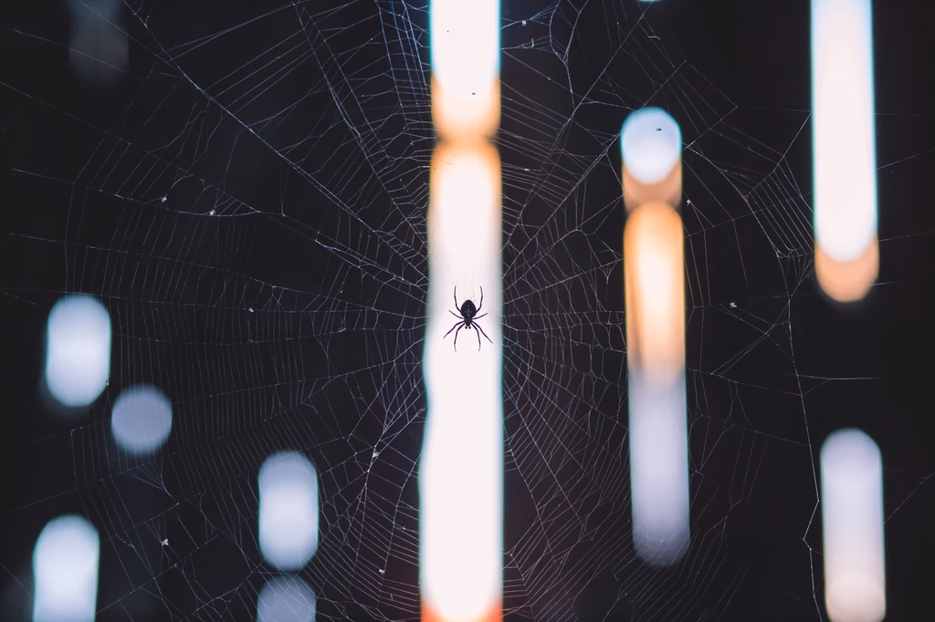 A small spider at the center of a spiral orb web at night